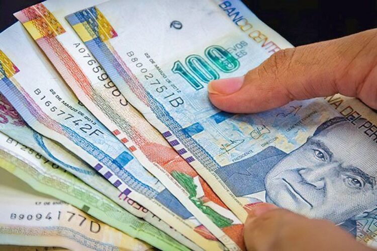 ¿Cuáles son los tipos de ayudas disponibles en el país en 2025?